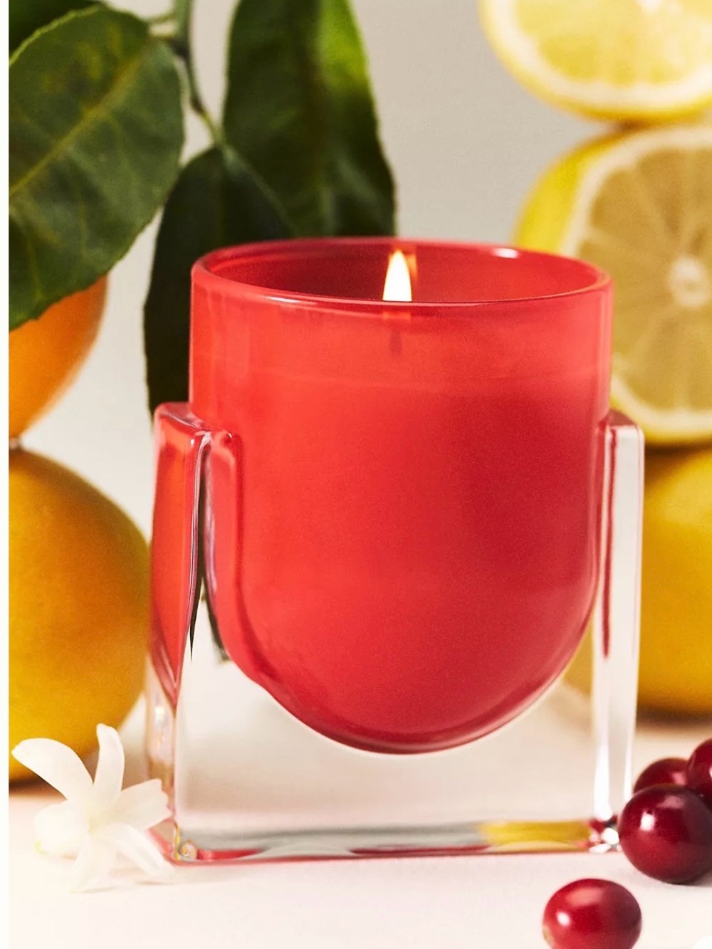 Anthropologie Found Notes Fruity Berry Citron & Blossom Boxed Glass Candle